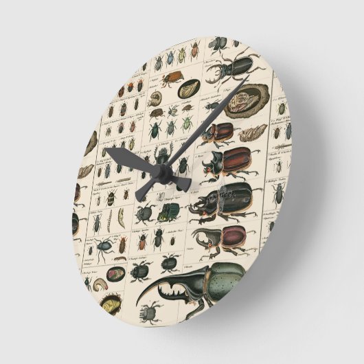 Illustratie  bundel ronde klok (Hoek)