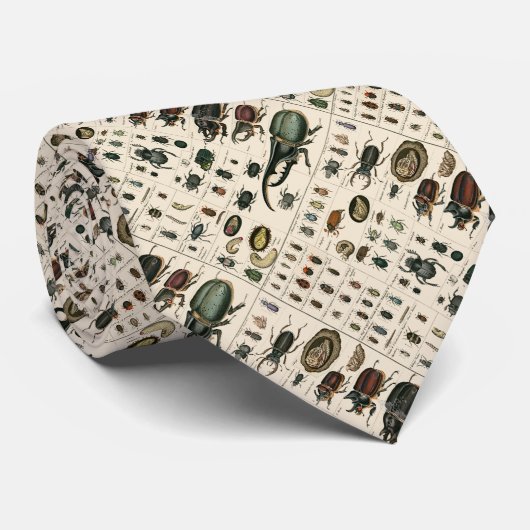 Illustratie  bundel stropdas (Opgerold)