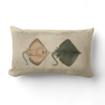  Illustratie Burton Schaats