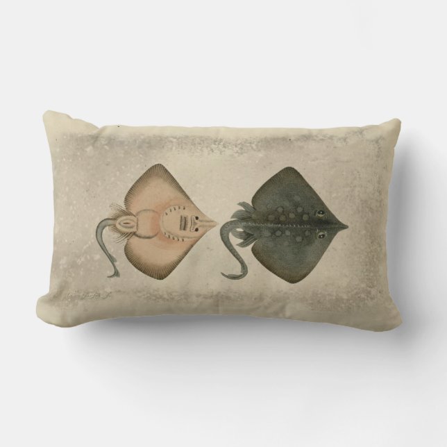  Illustratie Burton Schaats Kussen (Voorkant)