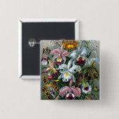 Illustratie Button Haeckel Orchid Study (Voorkant /achterkant)