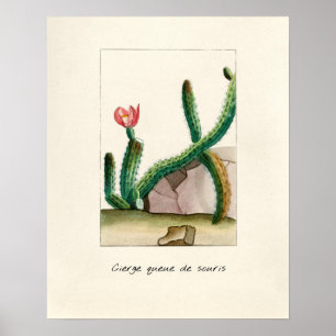 Illustratie  Cactus Poster