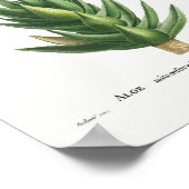 Illustratie  Cactus Poster (Hoek)