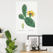 Illustratie  Cactus Poster (Thuiskantoor)