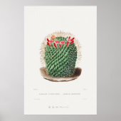 Illustratie  Cactus Poster (Voorkant)