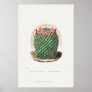 Illustratie  Cactus Poster