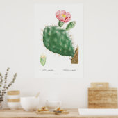 Illustratie Cactus Poster (Keuken)