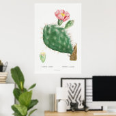 Illustratie Cactus Poster (Thuiskantoor)