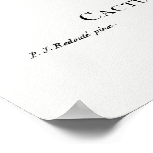 Illustratie  Cactus Poster (Hoek)