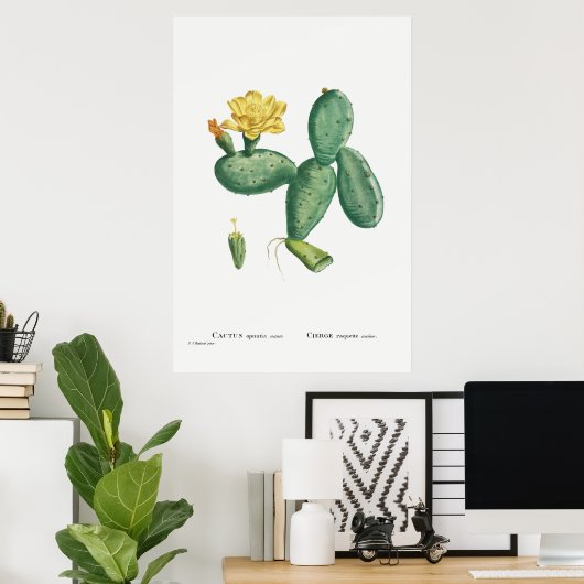 Illustratie Cactus Poster (Thuiskantoor)