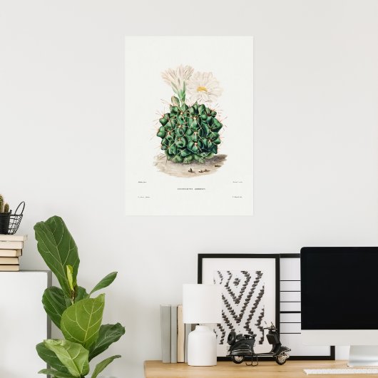Illustratie  Cactus Poster (Thuiskantoor)