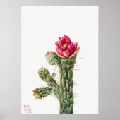 Illustratie Cactus Poster (Voorkant)
