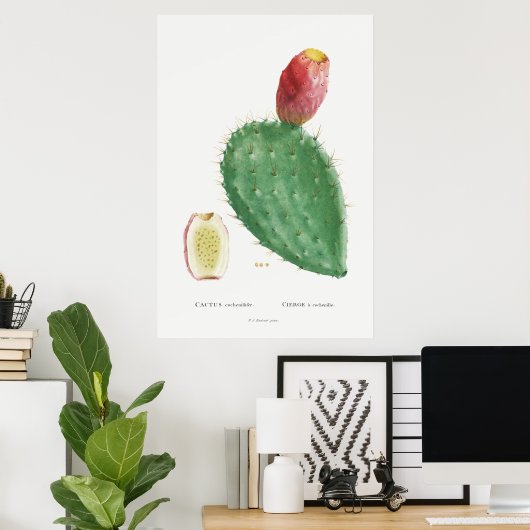 Illustratie  Cactus Poster (Thuiskantoor)