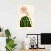 Illustratie Cactus Poster (Thuiskantoor)