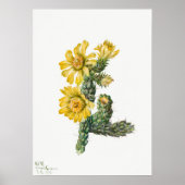 Illustratie  Cactus Poster (Voorkant)