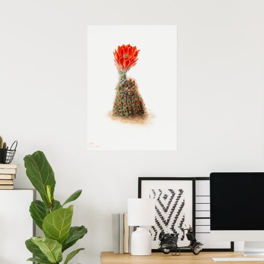 Illustratie Cactus Poster (Thuiskantoor)