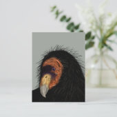 Illustratie Californische dominee Briefkaart (Staand voorkant)