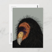 Illustratie Californische dominee Briefkaart (Voorkant / Achterkant)