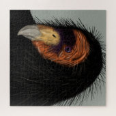 Illustratie Californische dominee Legpuzzel (Horizontaal)