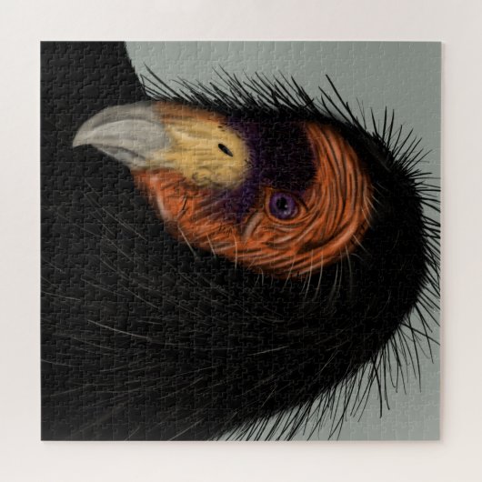 Illustratie Californische dominee Legpuzzel (Horizontaal)