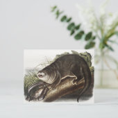 Illustratie Canada Otter (Lutra Canadensis) Briefkaart (Staand voorkant)