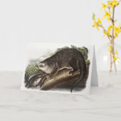 Illustratie Canada Otter (Lutra Canadensis) Kaart (Gele Bloem)