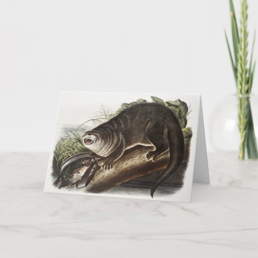 Illustratie Canada Otter (Lutra Canadensis) Kaart (Voorkant)
