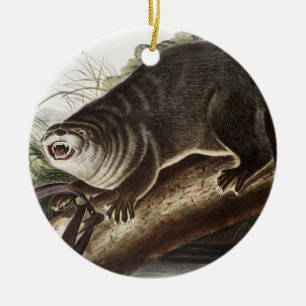Illustratie Canada Otter (Lutra Canadensis) Keramisch Ornament