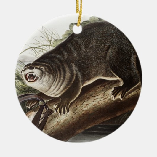 Illustratie Canada Otter (Lutra Canadensis) Keramisch Ornament (Voorkant)