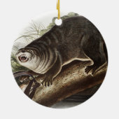 Illustratie Canada Otter (Lutra Canadensis) Keramisch Ornament (Achterkant)