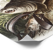 Illustratie Canada Otter (Lutra Canadensis) Poster (Hoek)