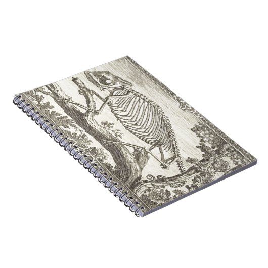 Illustratie Chameleon Skeleton Notitieboek (Rechterzijde)