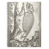 Illustratie Chameleon Skeleton Notitieboek (Voorkant)