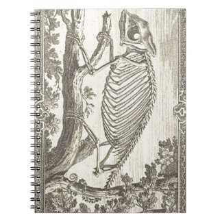 Illustratie Chameleon Skeleton Notitieboek