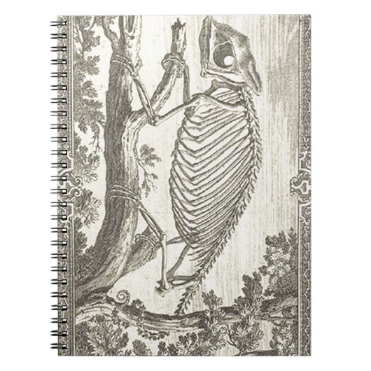 Illustratie Chameleon Skeleton Notitieboek (Voorkant)