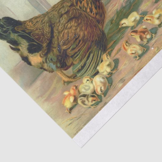 Illustratie Chicken Chick Dog Tissuepapier (Detail)