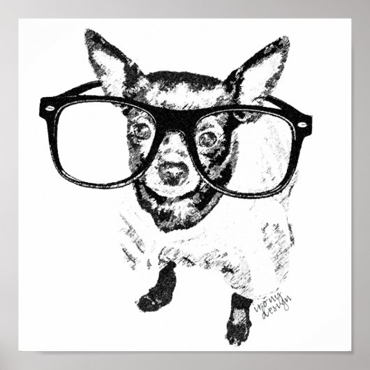Illustratie Chihuahua Dog Tekening Poster (Voorkant)