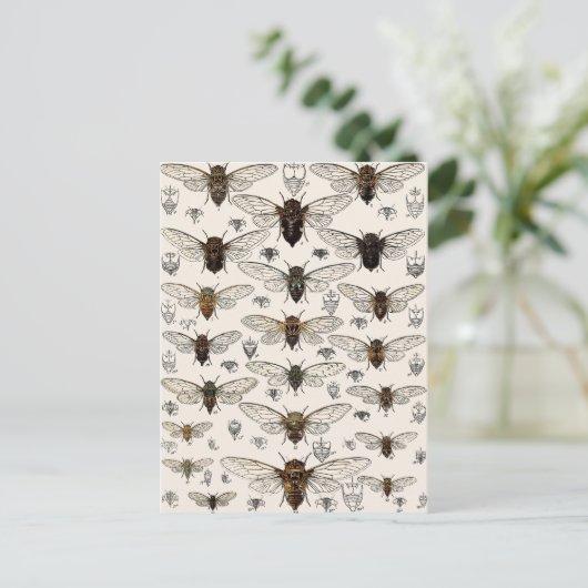  illustratie Cicadas Briefkaart (Staand voorkant)