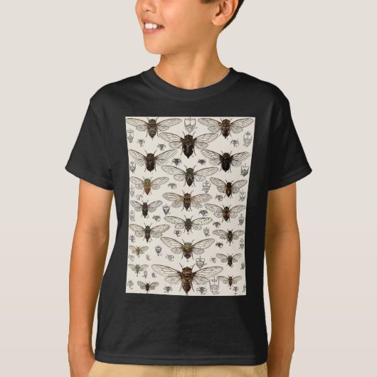 illustratie Cicadas T-shirt (Voorkant)