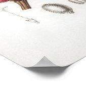  illustratie Coffea arabica Poster (Hoek)