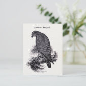  illustratie "Common Buzzard" Briefkaart (Staand voorkant)
