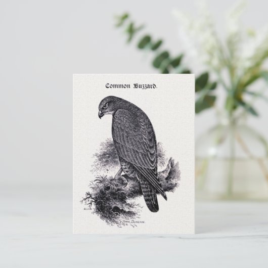  illustratie "Common Buzzard" Briefkaart (Staand voorkant)