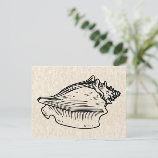  illustratie Conch Shell Briefkaart (Staand voorkant)