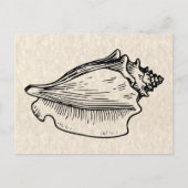 illustratie Conch Shell Briefkaart (Voorkant)