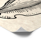 illustratie Conch Shell Poster (Hoek)