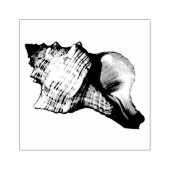  illustratie Conch Shell Rubberstempel (Afrduk)
