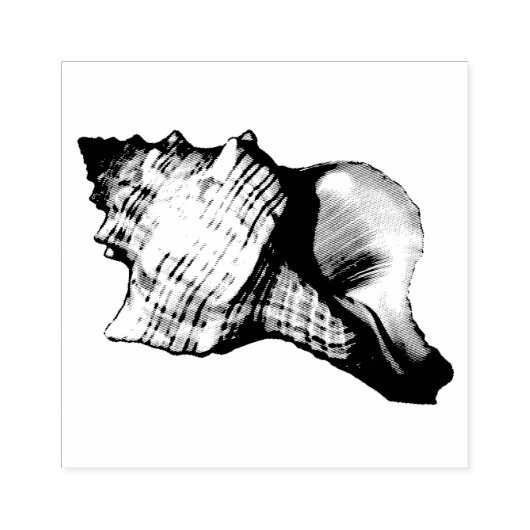  illustratie Conch Shell Rubberstempel (Afrduk)