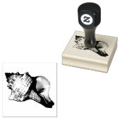  illustratie Conch Shell Rubberstempel (Gestempeld)