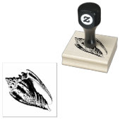 Illustratie Conch Shell Rubberstempel (Gestempeld)