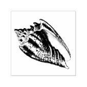 Illustratie Conch Shell Zelfinktende Stempel (Design)